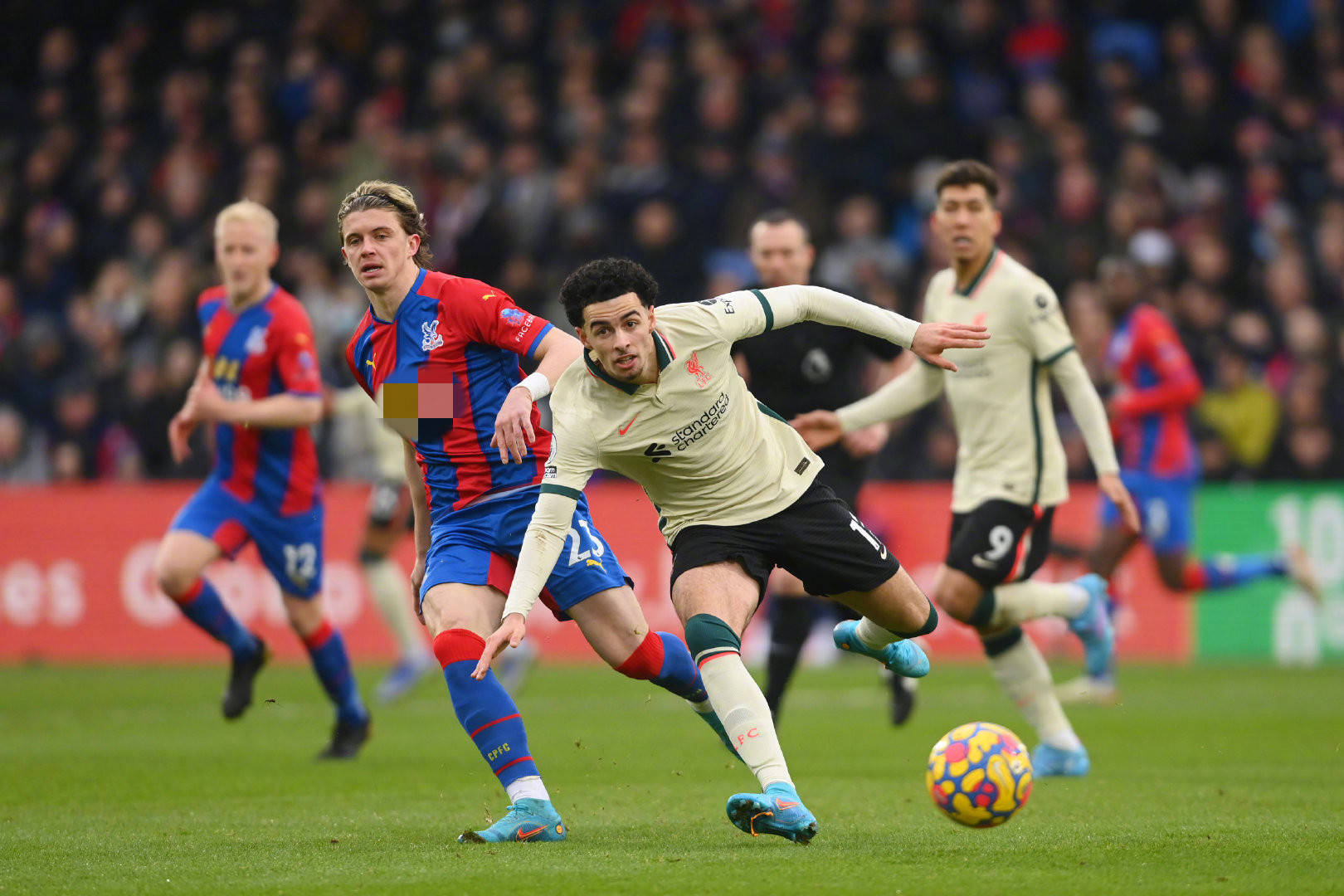 与德国建立 与德国建立